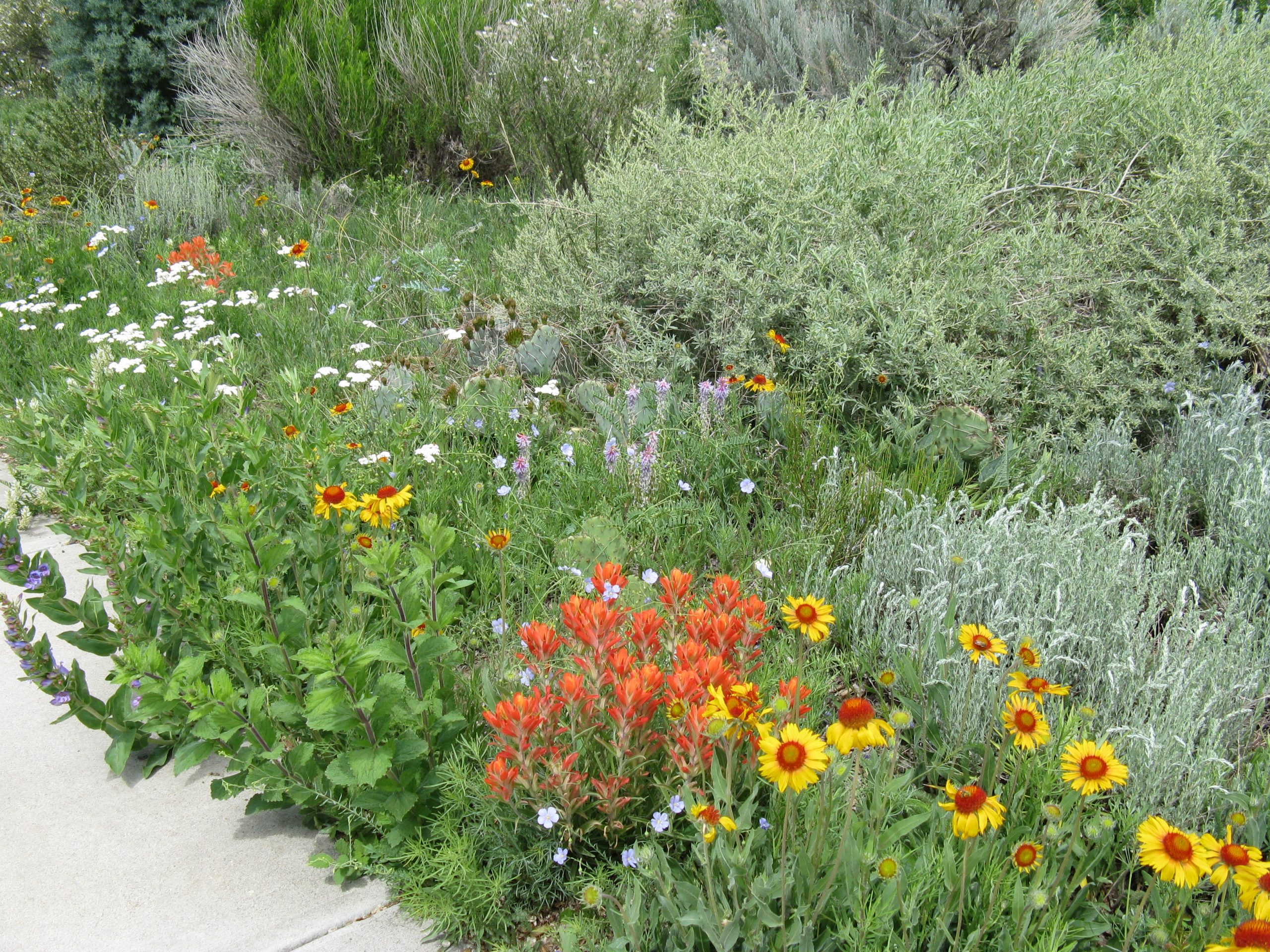 How to use this Toolkit - Wild Ones Front Range Chapter