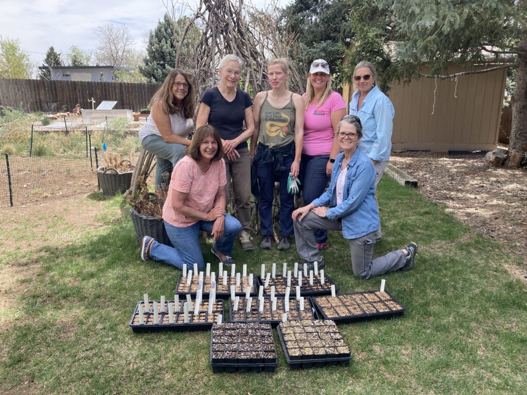 The Wild Ones Front Range Propagation Committee gathers to sow native plant seeds.