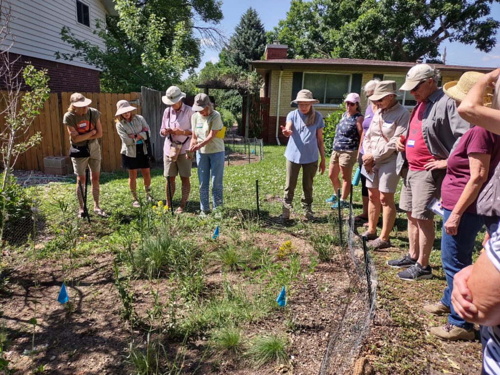 A group looks on as Jan explains that she converts a section or two of her yard at a time to make it more manageable.  She also puts up fencing to protect from rabbits for the first 18 months or so.