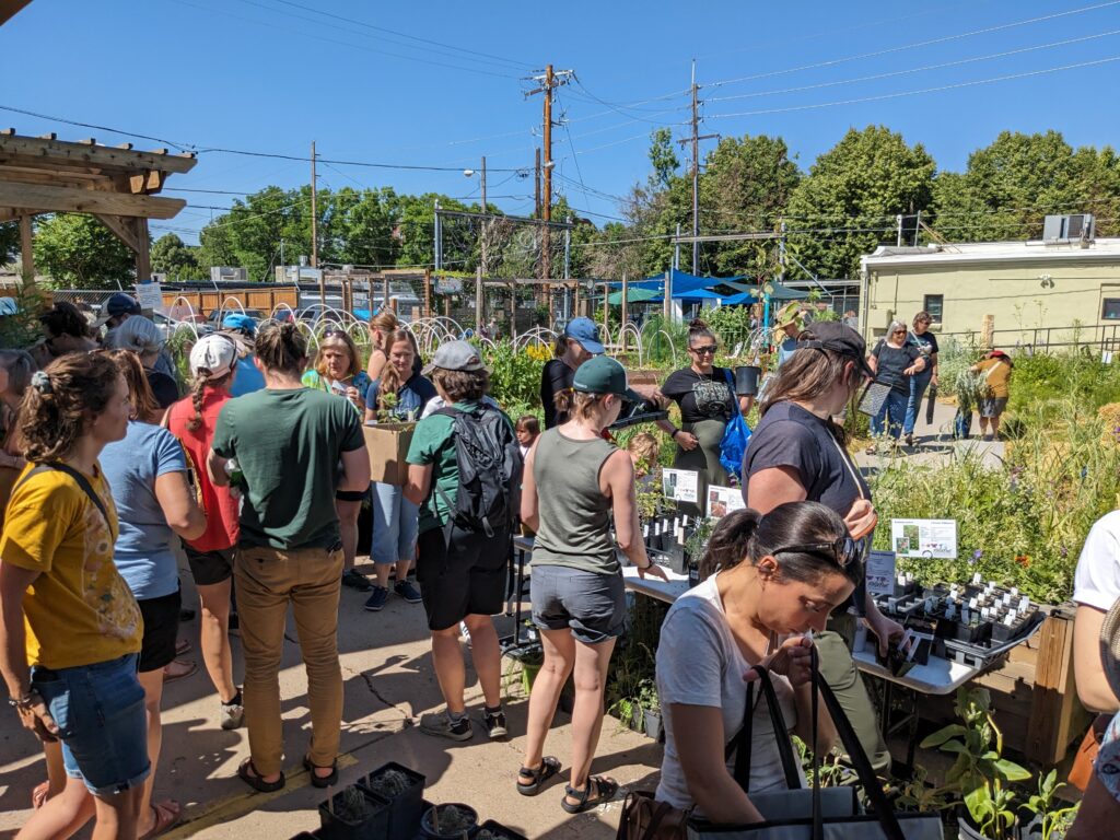 great turnout of people for the swap exploring all of the native plant species available, including trees, shrubs, cacti, perennials, annuals, wildflowers, grasses