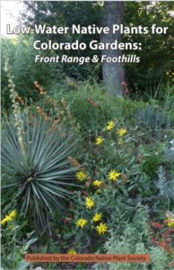 Low water Colorado native plants for Colorado gardens on the Front Range and in the foothills