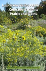 Low water native plants for Colorado gardens on hte prairie and in the plains