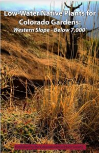 Low water native plants for Colorado gardens on the western slope below 7,000'
