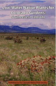 Low water native plants for Colorado gardens in Southeastern Colorado