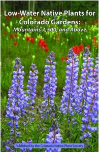 Low water native plants for Colorado gardens in the mountains at 7,500' and above