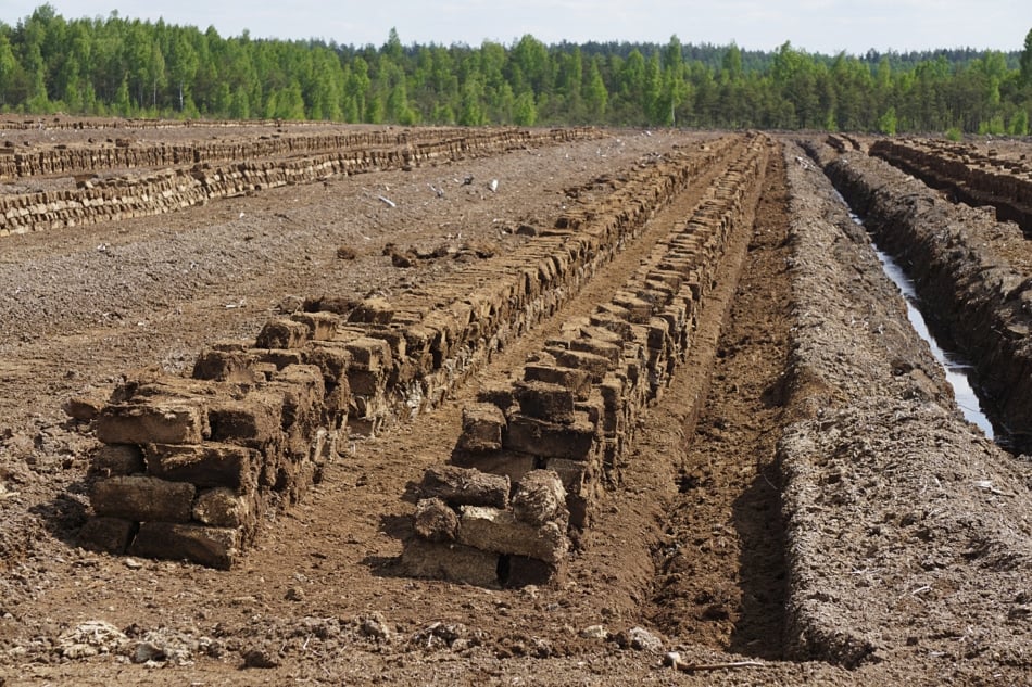 Field of peat moss being harvested, contributes to greenhouse emissions, threatens the peat bog ecosystem