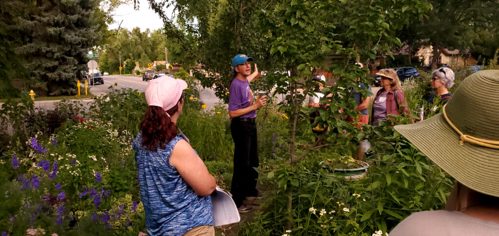 Ruth shares her journey from novice gardener to  pollinator advocate in Fort Collins