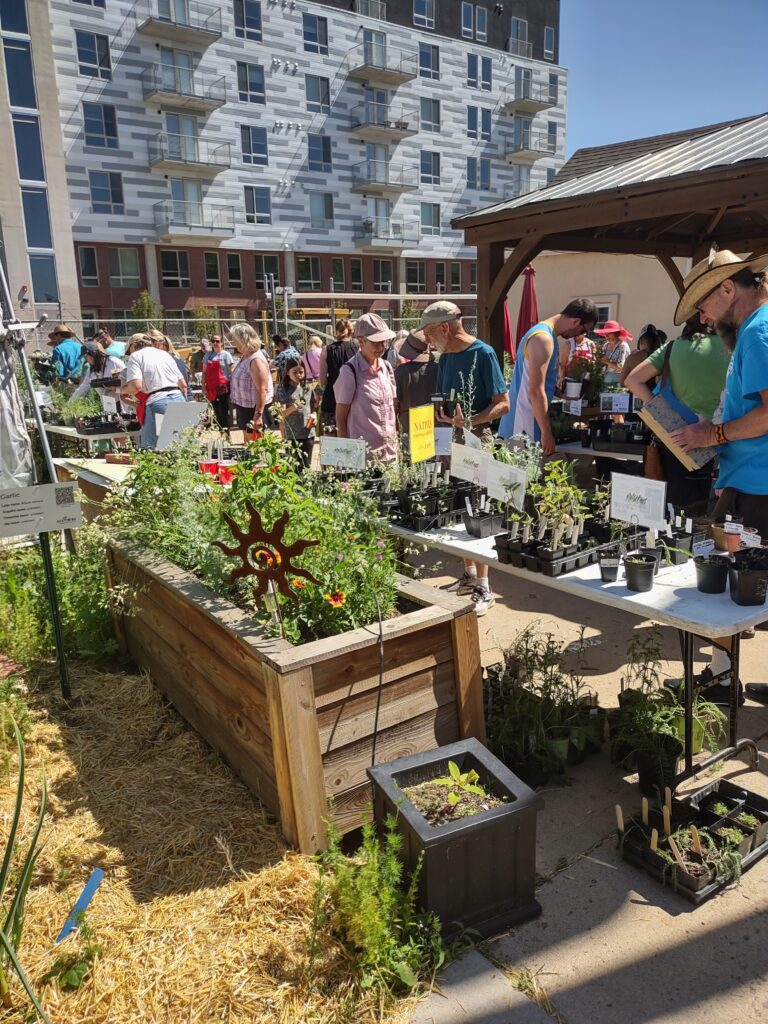 380 attendees browsed the native plants available at the Denver native plant swap