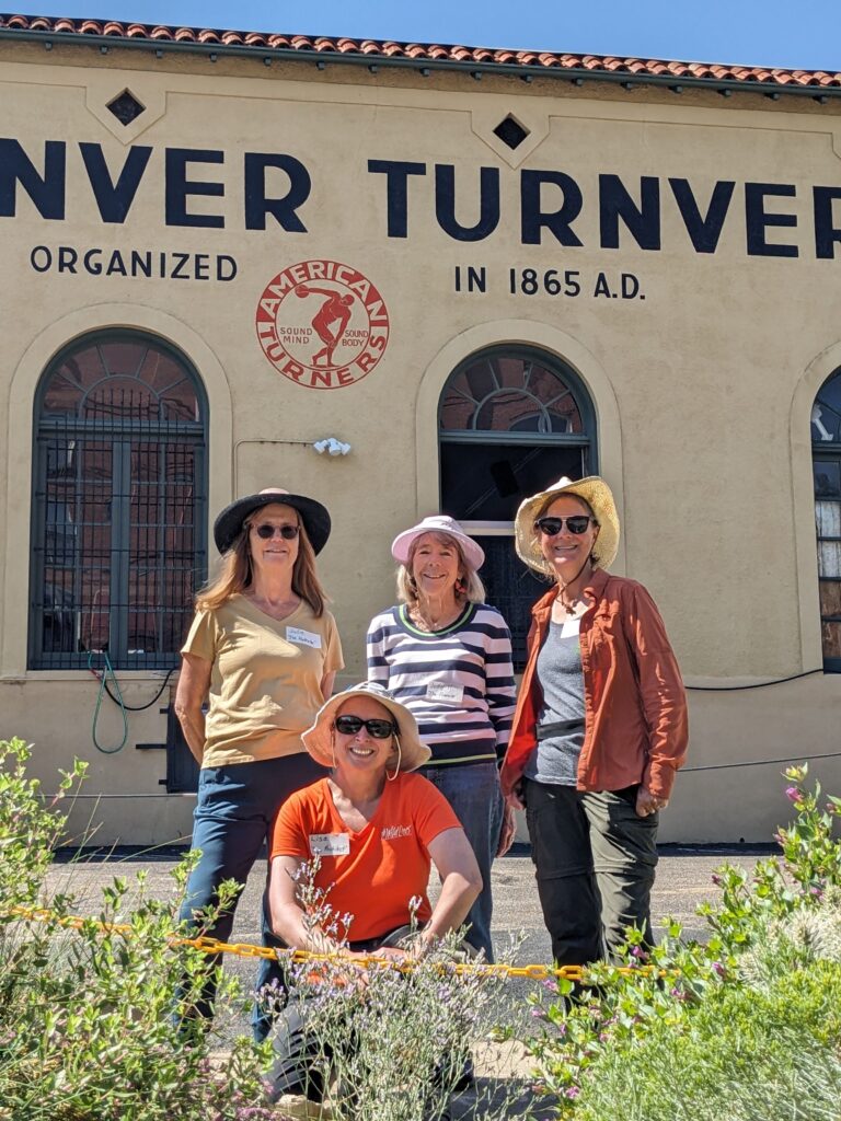 Volunteers who helped create the Greenverein xeriscape hellstrip native Colorado garden at Denver's Turnverein include Julie Nordstrom "The Hydrator",  Judy Hopper "The Financier",
Christine Gust "The Link"
and Lisa Olsen "The Architect"