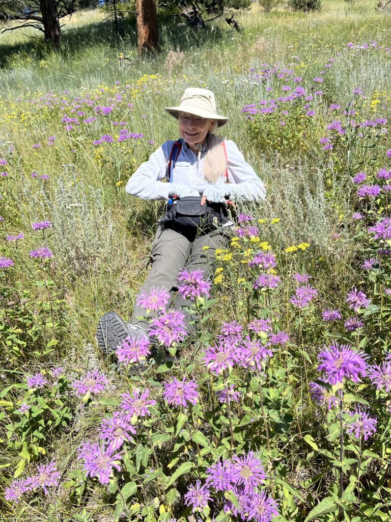 Jan plops into a meadow to key out a native species