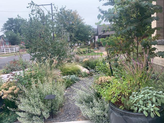 More formal Colorado native garden design in a home landscape