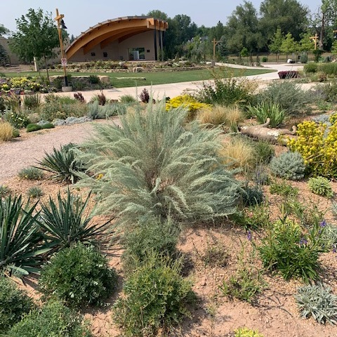 Prairie garden at the Gardens on Spring Creek in Fort Collins, CO