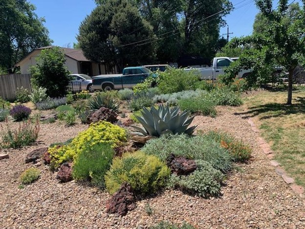Kelly Grummonds' garden with plants landscaped into an island with gravel mulch.