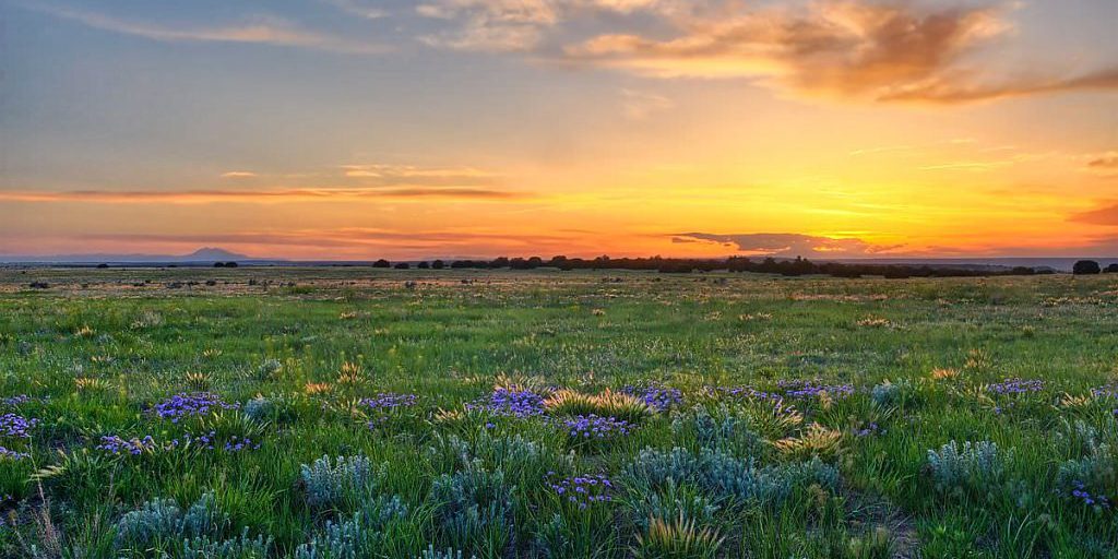 Shortgrass prairie at sunset.  Photo by Michael Menefee courtesy of Colorado Natural Heritage Program.