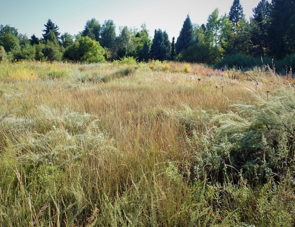 Laura Smith Porter Plains Garden, Denver Botanic Gardens.