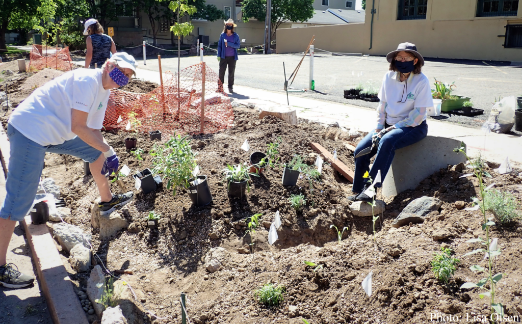 volunteers planting the Greenverein garden, a Wild Ones Front Range demo garden