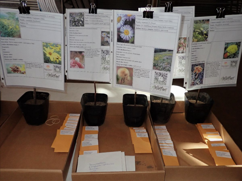 seed samples with data sheets at seed swap
