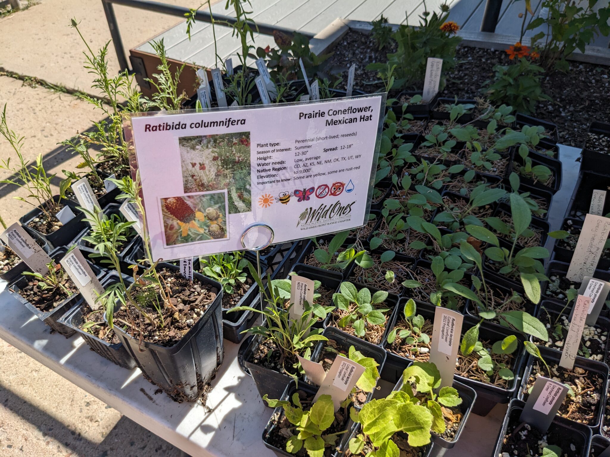 Boulder Regional Plant Swap - Wild Ones Front Range Chapter