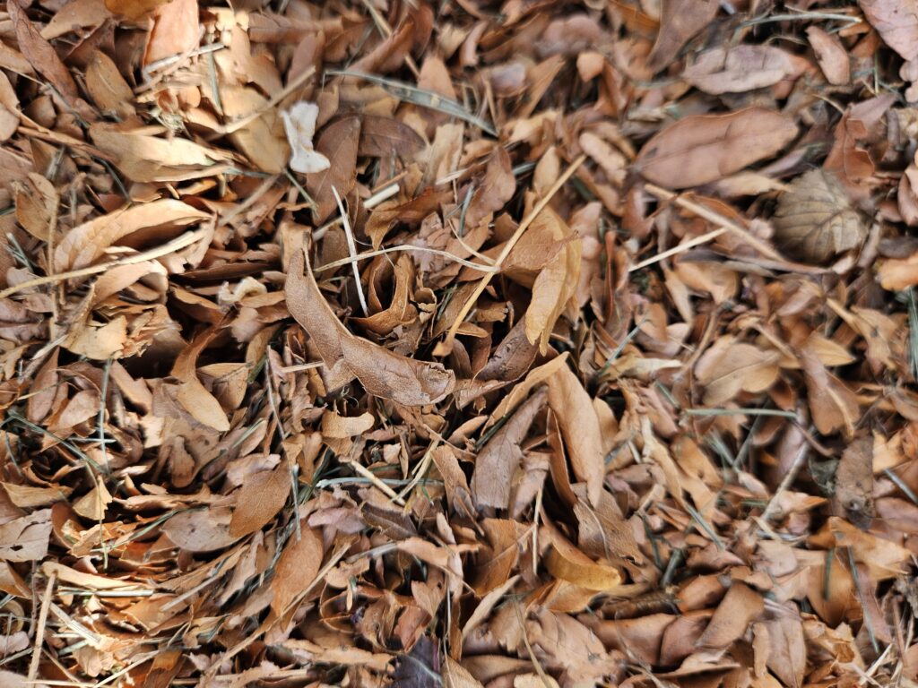 Leaf Mulch