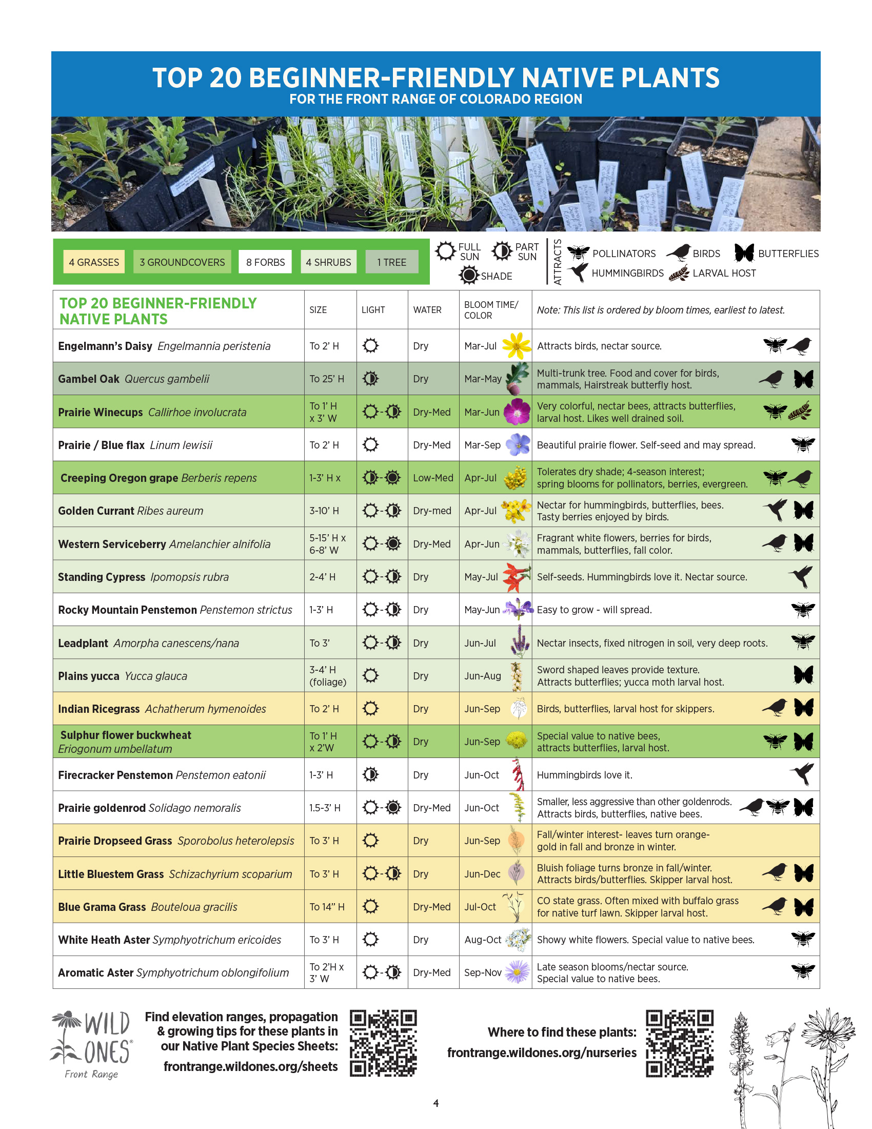 Top 20 Beginner-Friendly Native Plants
FOR THE FRONT RANGE OF COLORADO REGION