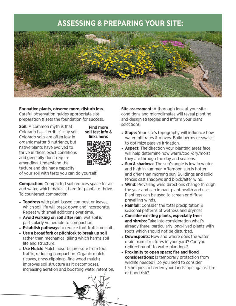 Assessing & Preparing Your Site for planting Native Plants in Colorado