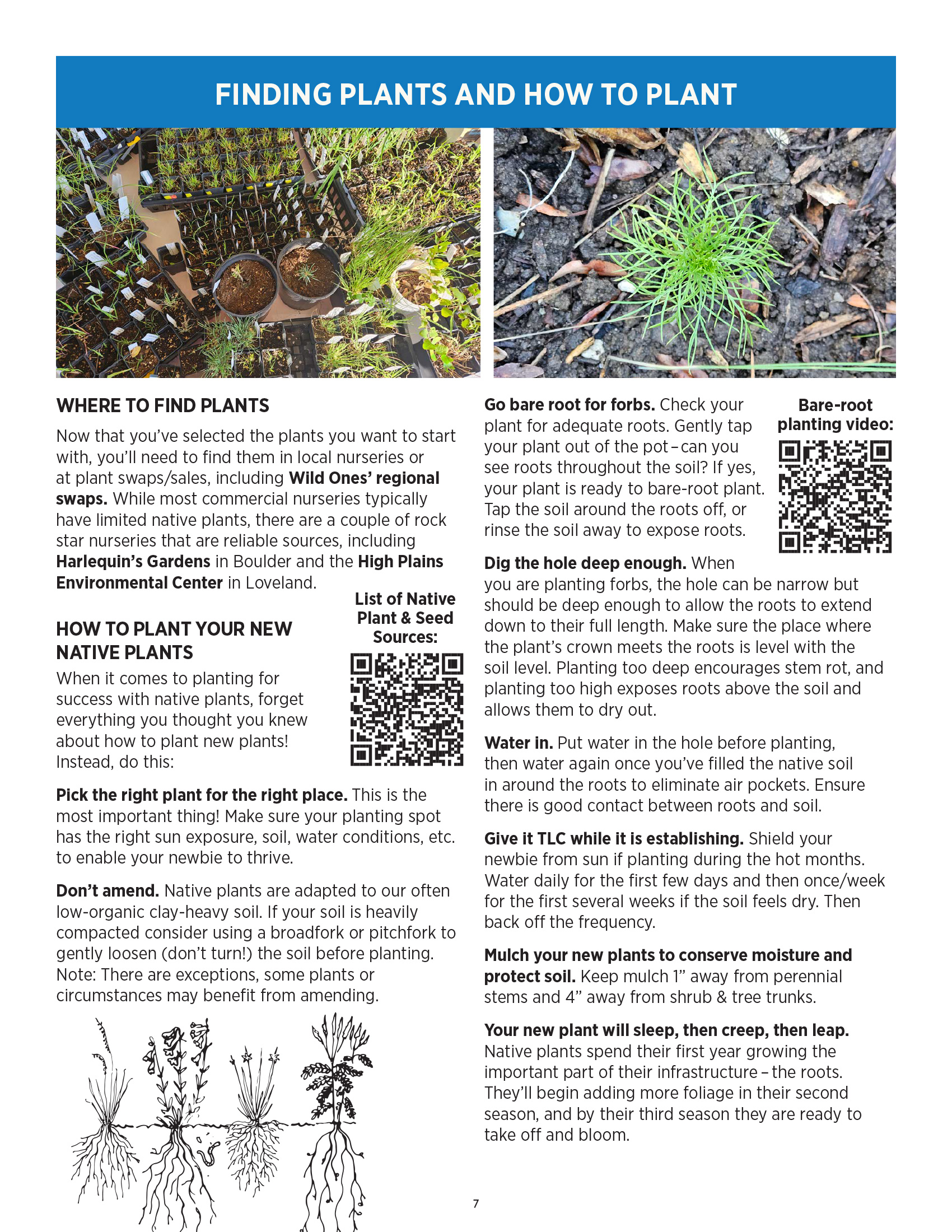Finding plants and how to plant