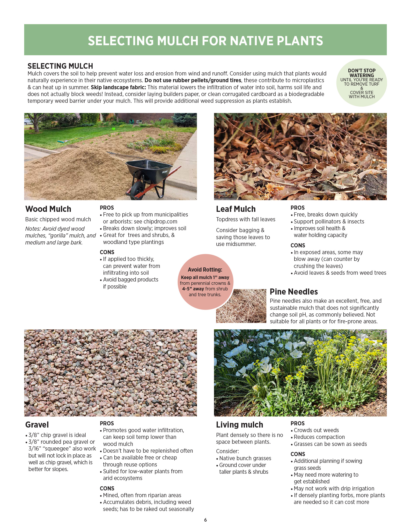 Selecting mulch for native plants