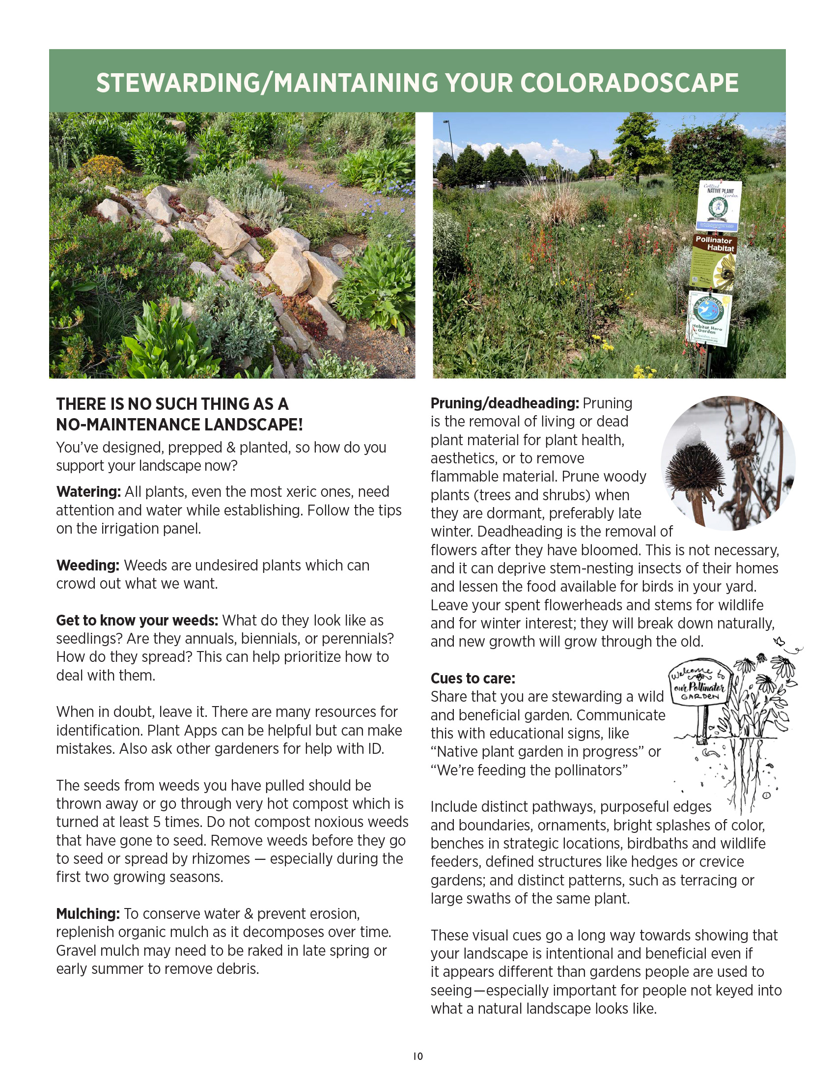 Stewarding/Maintaining Your Coloradoscape
