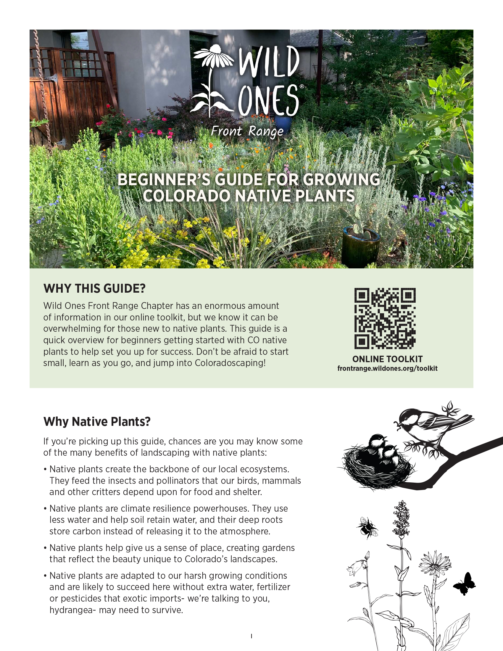 BEGINNER’S GUIDE FOR GROWING COLORADO NATIVE PLANTS

Why Native Plants?

If you’re picking up this guide, chances are you may know some of the many benefits of landscaping with native plants:

Native plants create the backbone of our local ecosystems. They feed the insects and pollinators that our birds, mammals and other critters depend upon for food and shelter.

Native plants are climate resilience powerhouses. They use less water and help soil retain water, and their deep roots store carbon instead of releasing it to the atmosphere.

Native plants help give us a sense of place, creating gardens that reflect the beauty unique to Colorado’s landscapes.

Native plants are adapted to our harsh growing conditions and are likely to succeed here without extra water, fertilizer or pesticides that exotic imports- we’re talking to you, hydrangea- may need to survive.