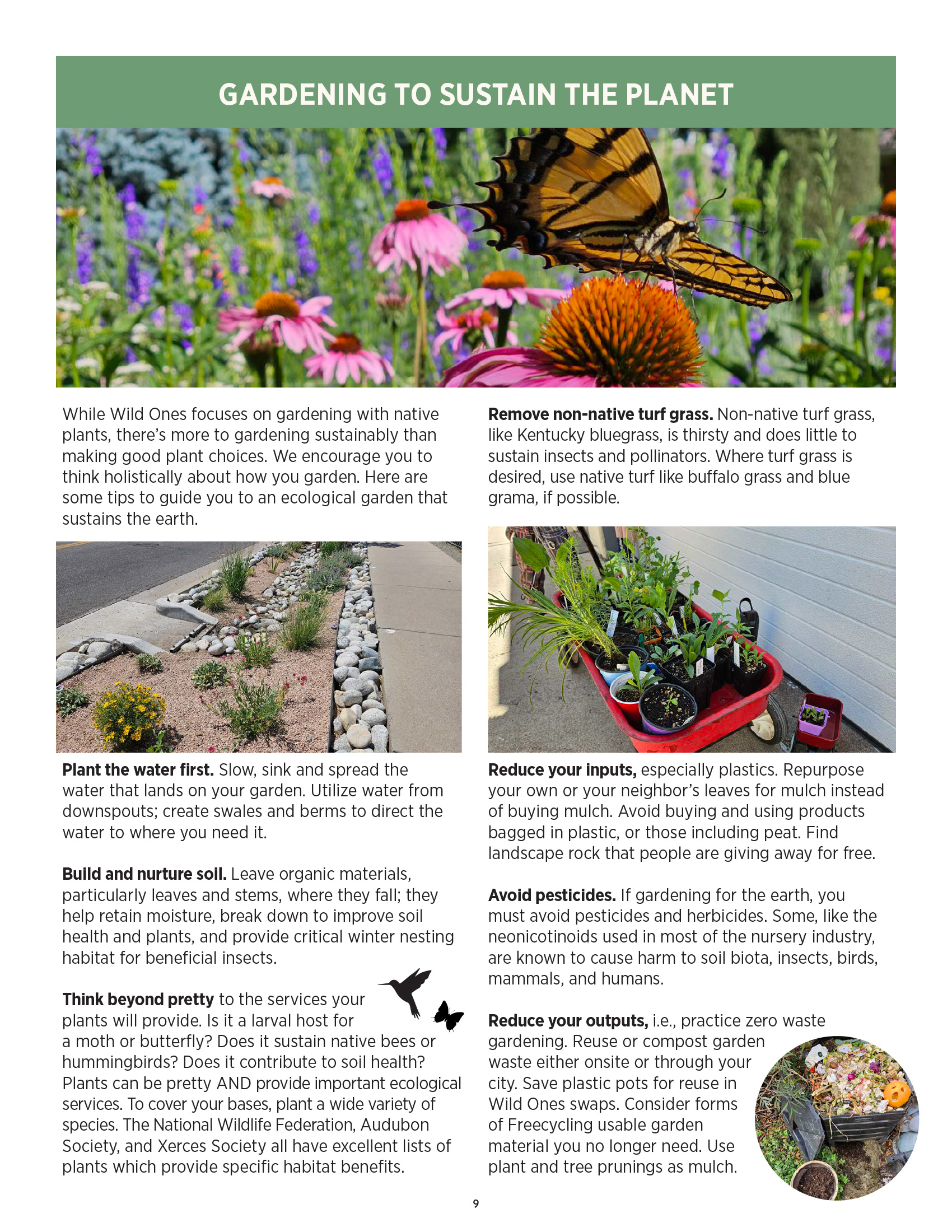 Gardening to Sustain the Planet
