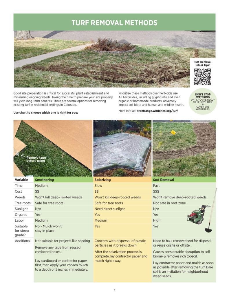 Turf Removal Methods for Native Plant Gardens for planting Native Plants in Colorado