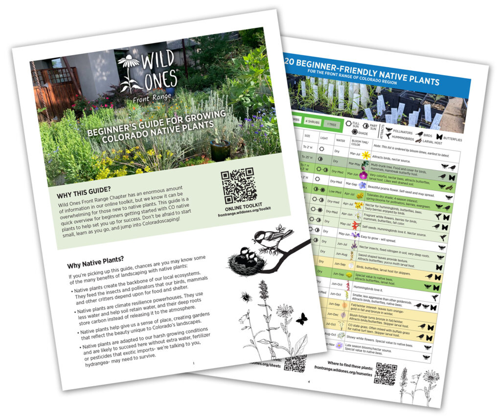 BEGINNER’S GUIDE FOR GROWING COLORADO NATIVE PLANTS