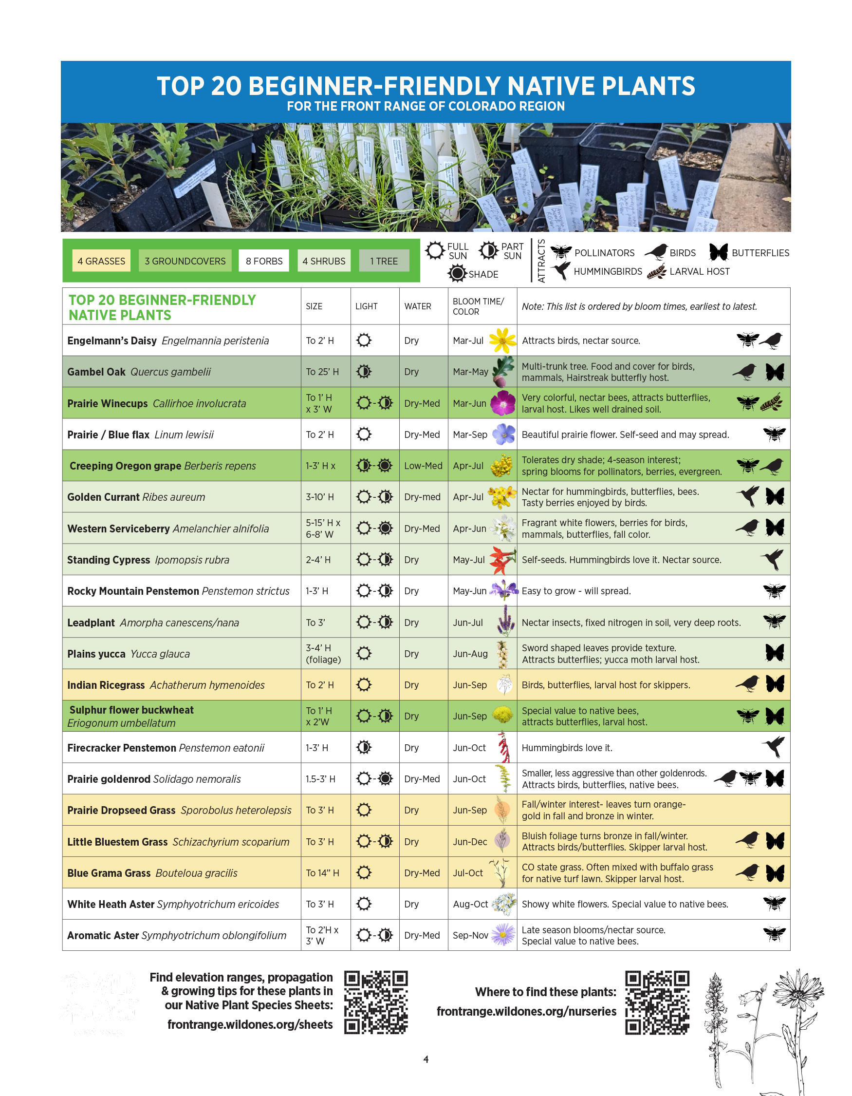 BEGINNER’S GUIDE FOR GROWING COLORADO NATIVE PLANTS from Front Range Wild Ones - Top 20 Beginner-Friendly Native Plants for the Front Range of Colorado Region