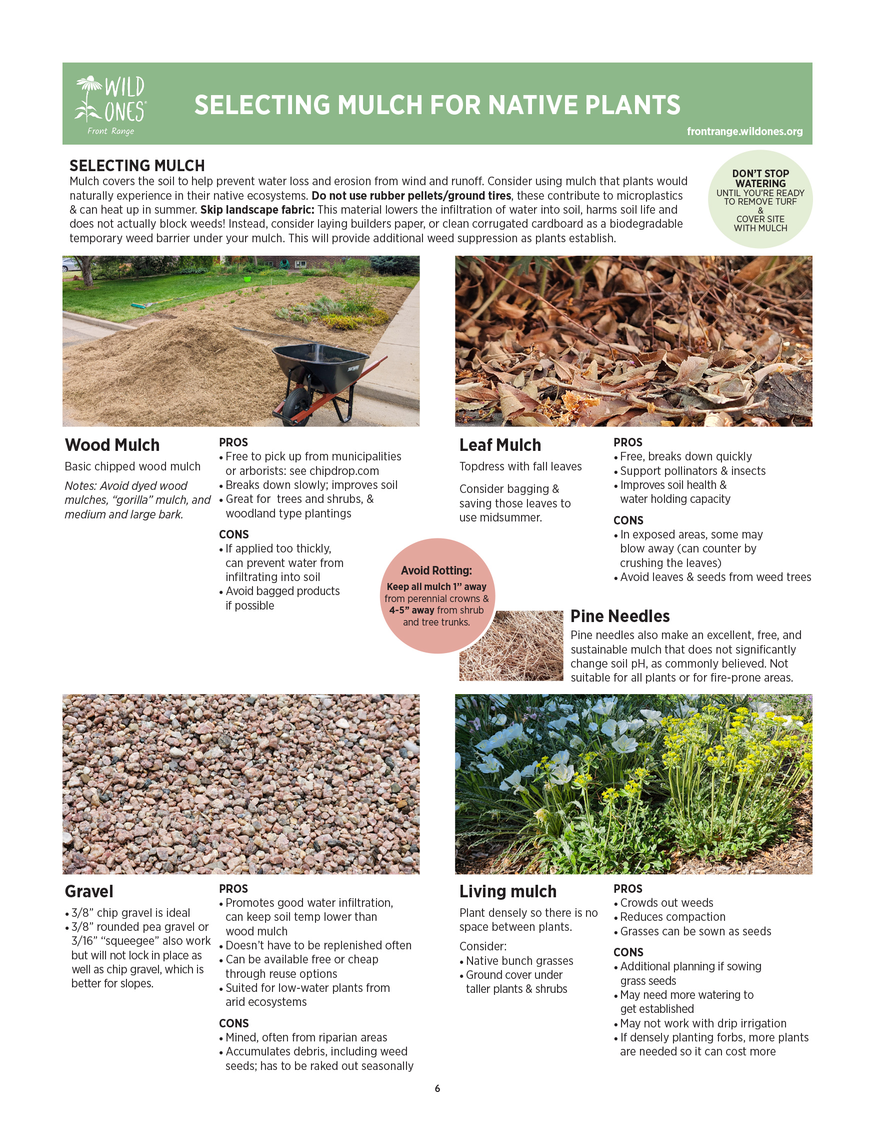 BEGINNER’S GUIDE FOR GROWING COLORADO NATIVE PLANTS from Front Range Wild Ones - Selecting Mulch for Native Plants