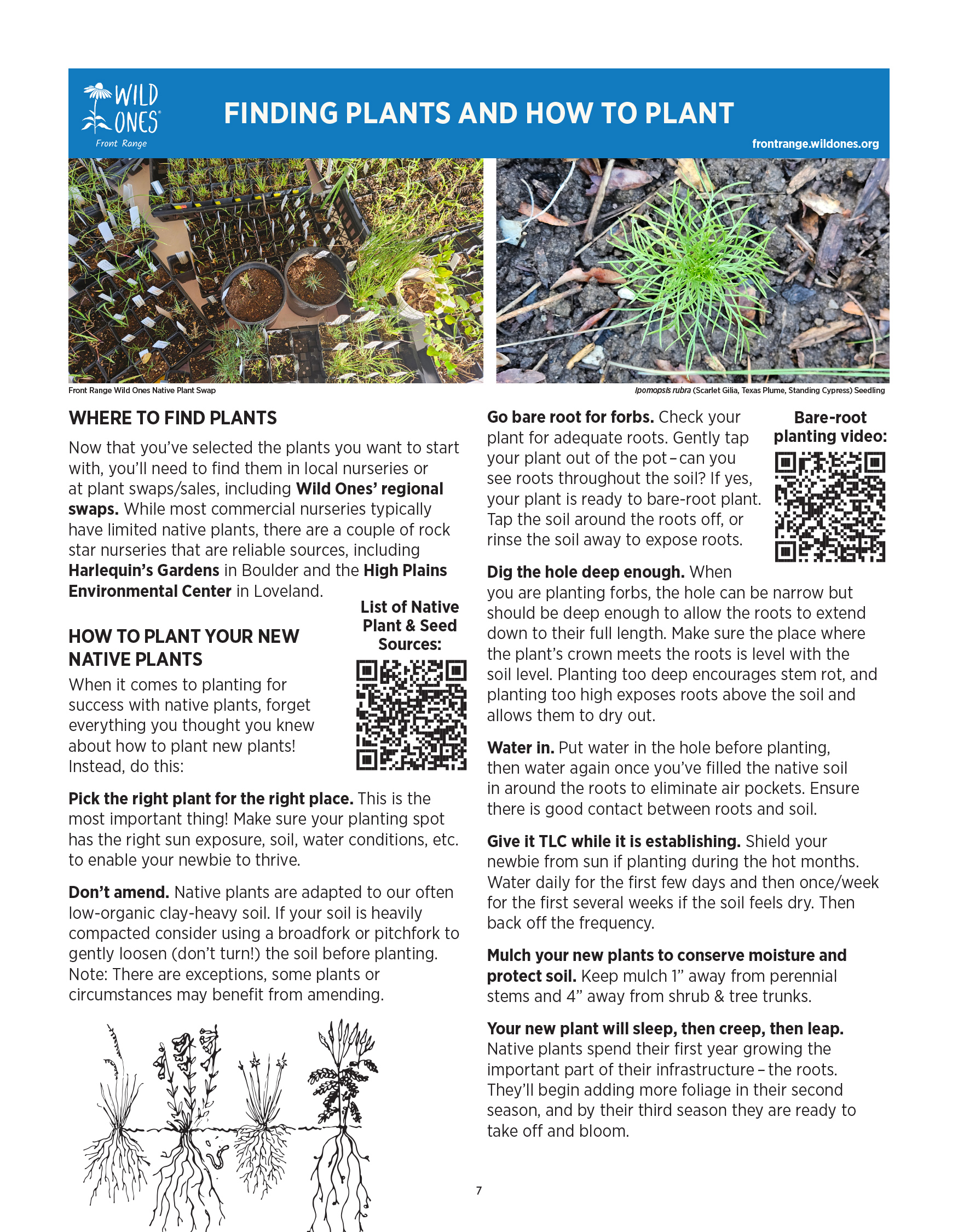 BEGINNER’S GUIDE FOR GROWING COLORADO NATIVE PLANTS from Front Range Wild Ones - Finding Plants and How to Plant