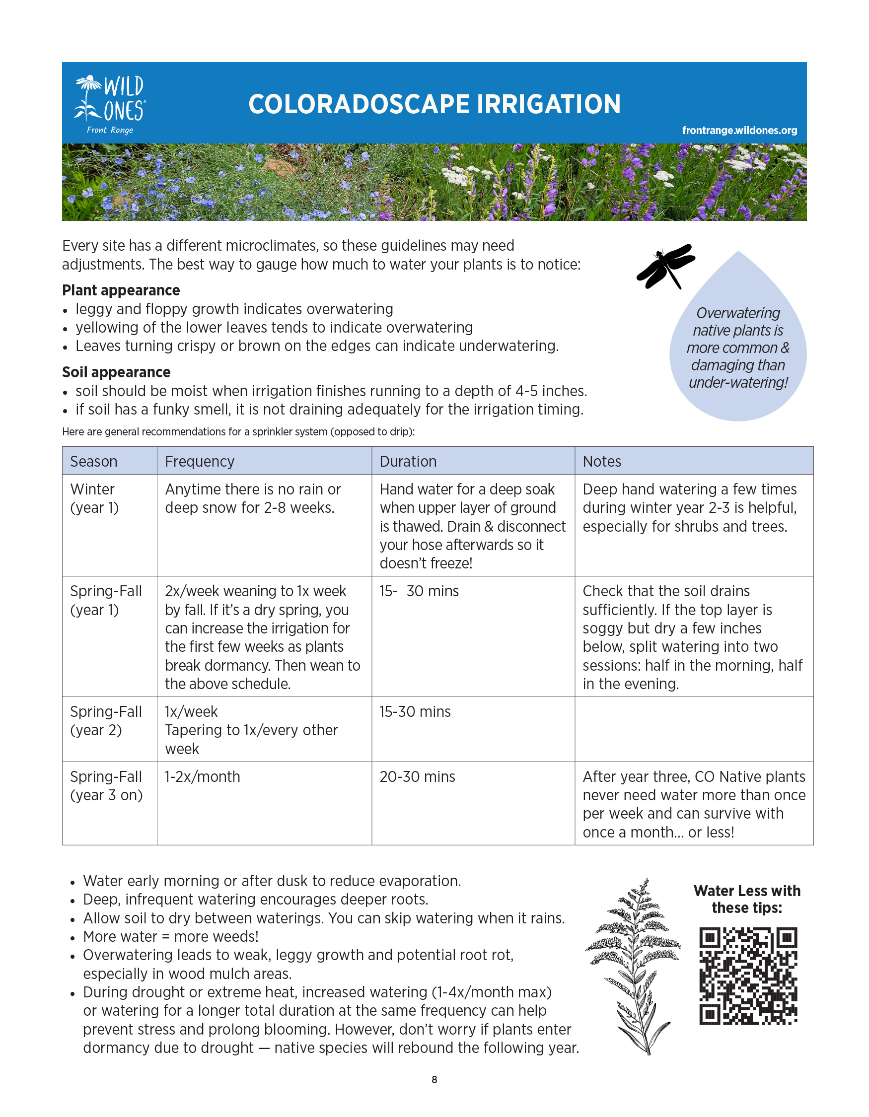 BEGINNER’S GUIDE FOR GROWING COLORADO NATIVE PLANTS from Front Range Wild Ones - Coloradoscape Irrigation
