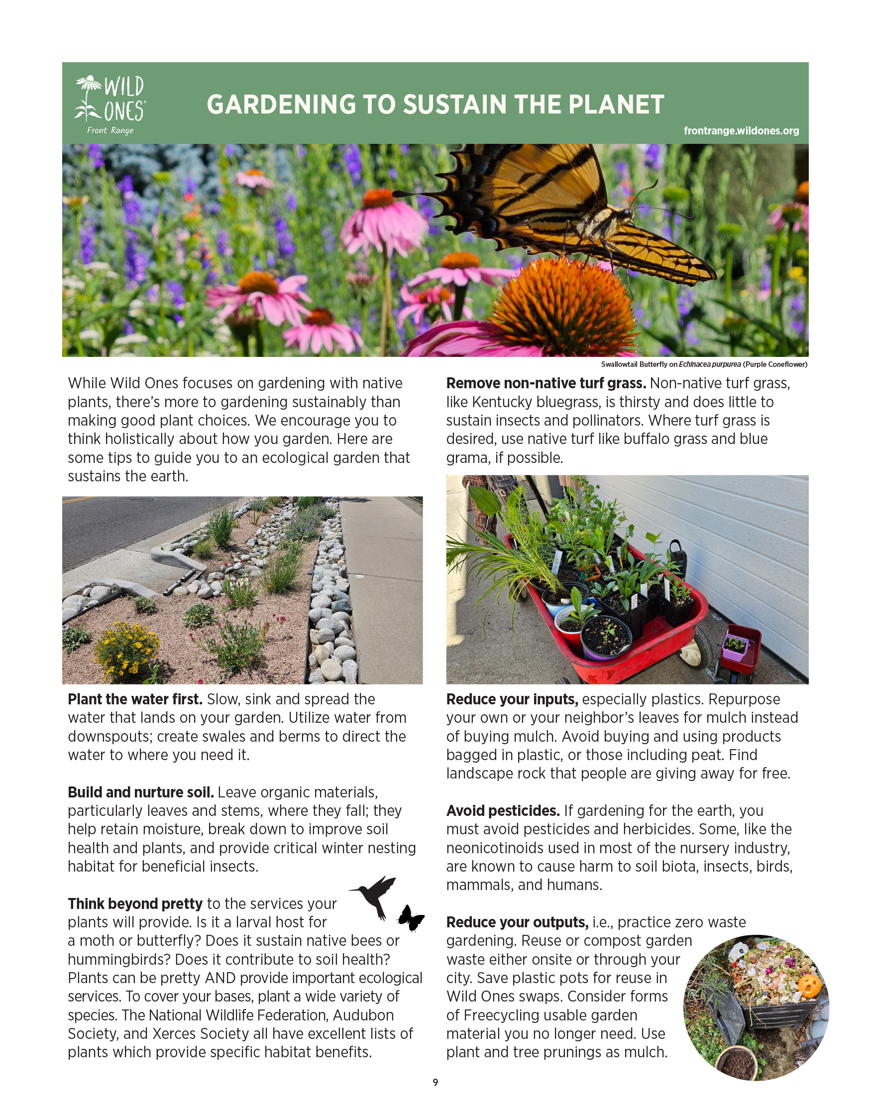 BEGINNER’S GUIDE FOR GROWING COLORADO NATIVE PLANTS from Front Range Wild Ones - Gardening to Sustain the Planet